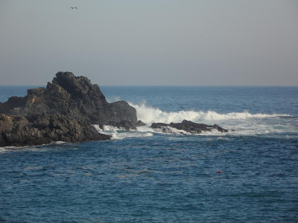 Apartament Vista Y Mar Valparaíso Zewnętrze zdjęcie